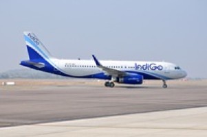IndiGo